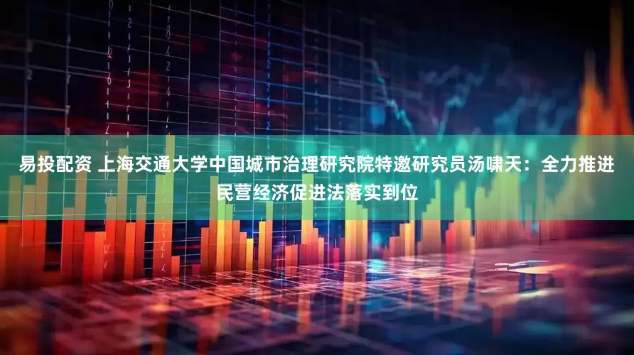 易投配资 上海交通大学中国城市治理研究院特邀研究员汤啸天：全力推进民营经济促进法落实到位