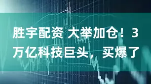 胜宇配资 大举加仓!3万亿科技巨头,买爆了